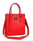 NWT Bag